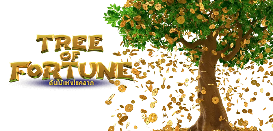 Tree of Fortune ต้นไม้แห่งโชคลาภ