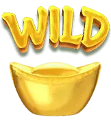 สัญลักษณ์ Wild 